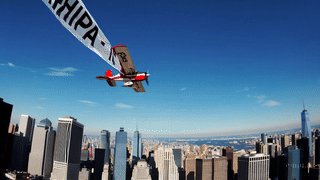 New York HIPA